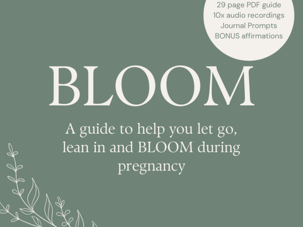 BLOOM Pregnancy Support Guide from Align with Alice