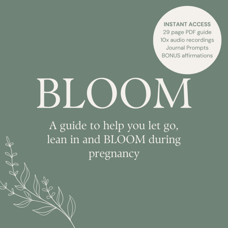 BLOOM Pregnancy Support Guide from Align with Alice