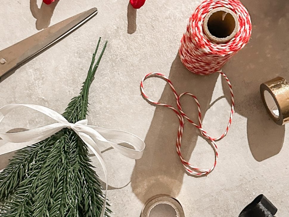 12 Days of Support. Unwrapping the NAO Village Article Featured Image