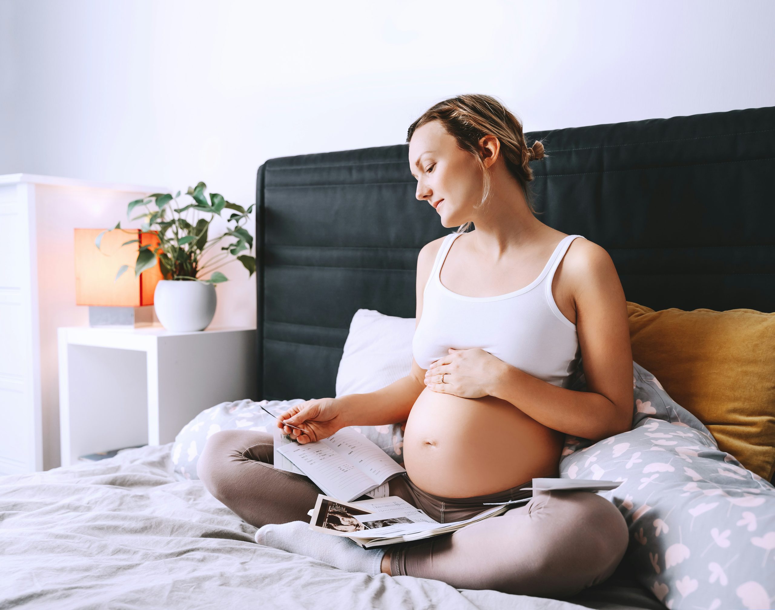 Basal Body Temperature (BBT) & Cycle Awareness Journal by Womb to World