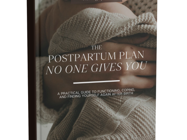 The Postpartum Plan No One Gives You from The Nesting Space