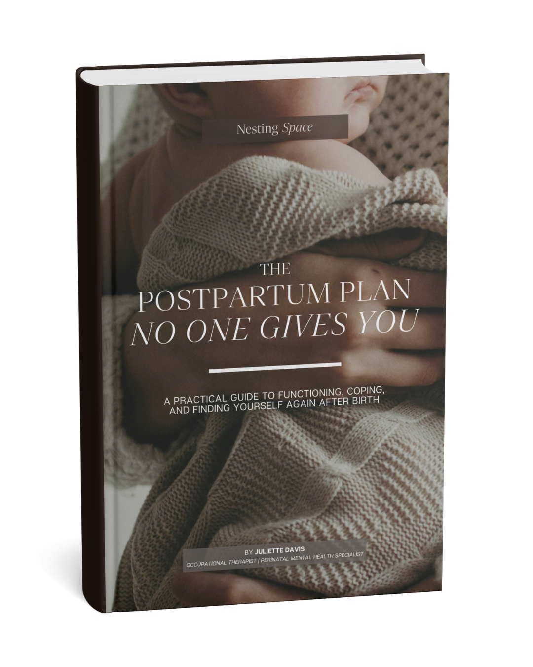The Postpartum Plan No One Gives You from The Nesting Space